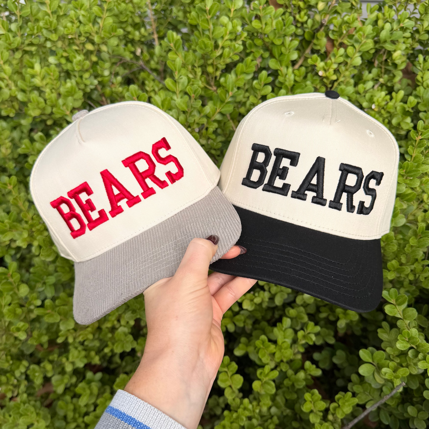 BEARS